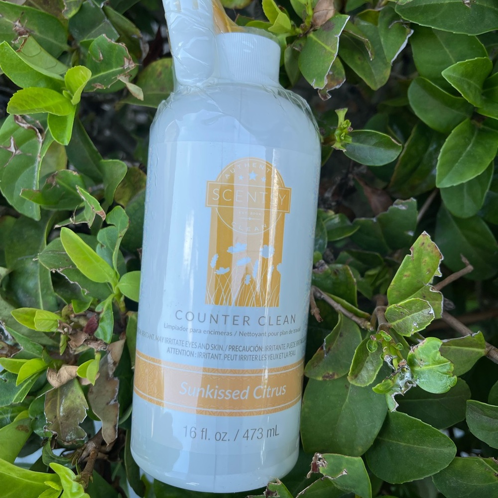 Sunkissed Citrus Counter Clean